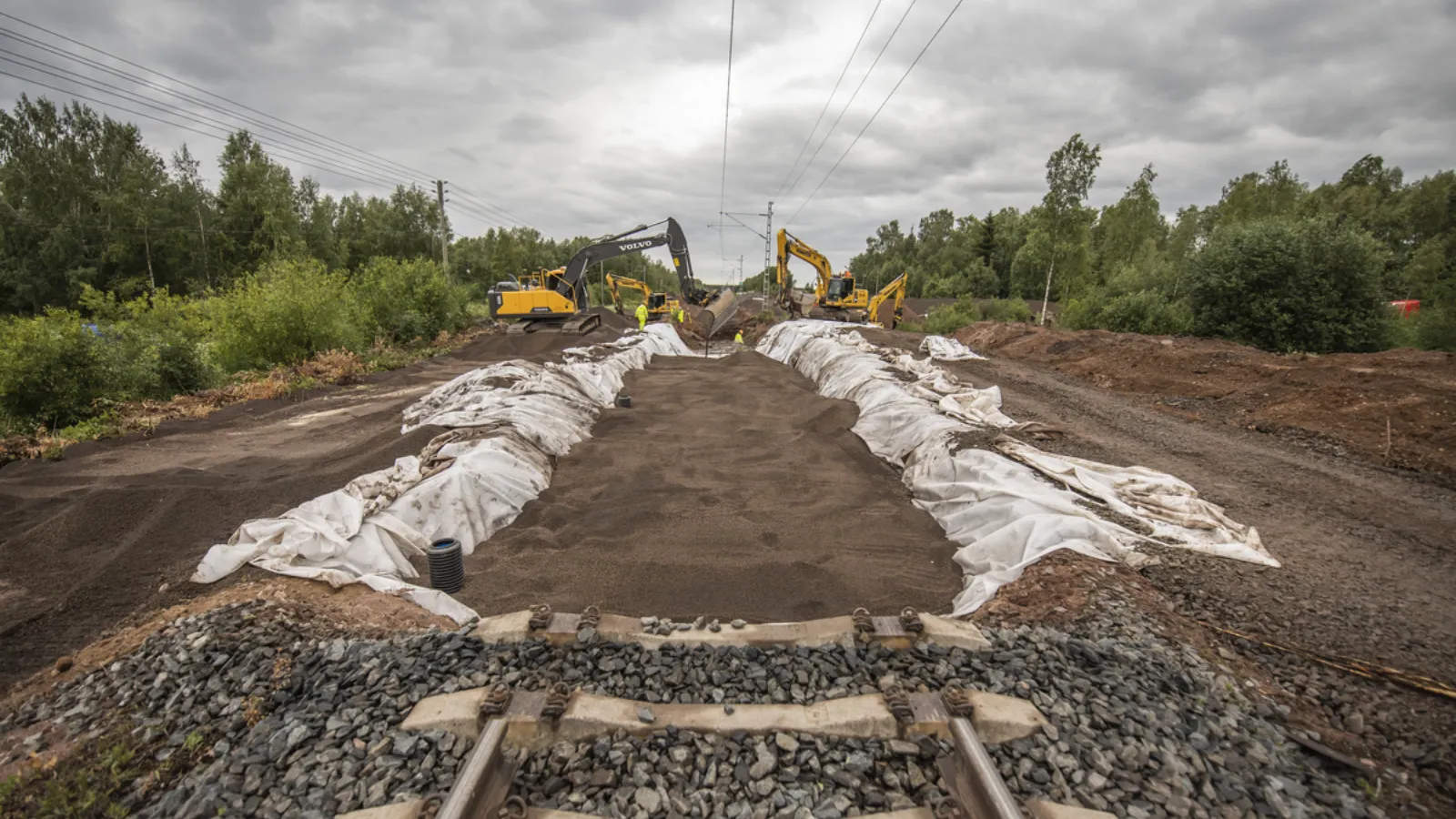 pedler project