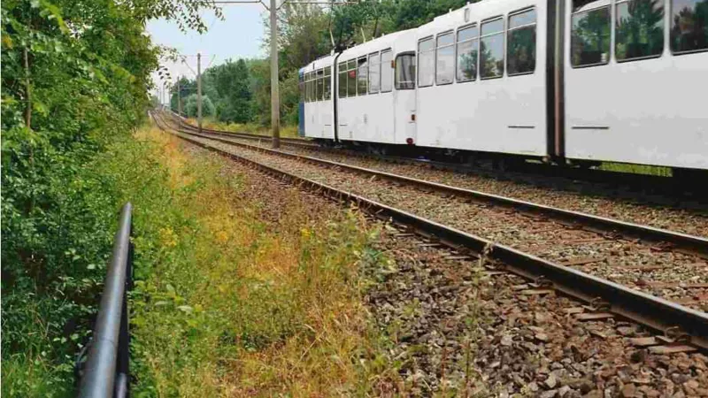 Ferrocarriles
